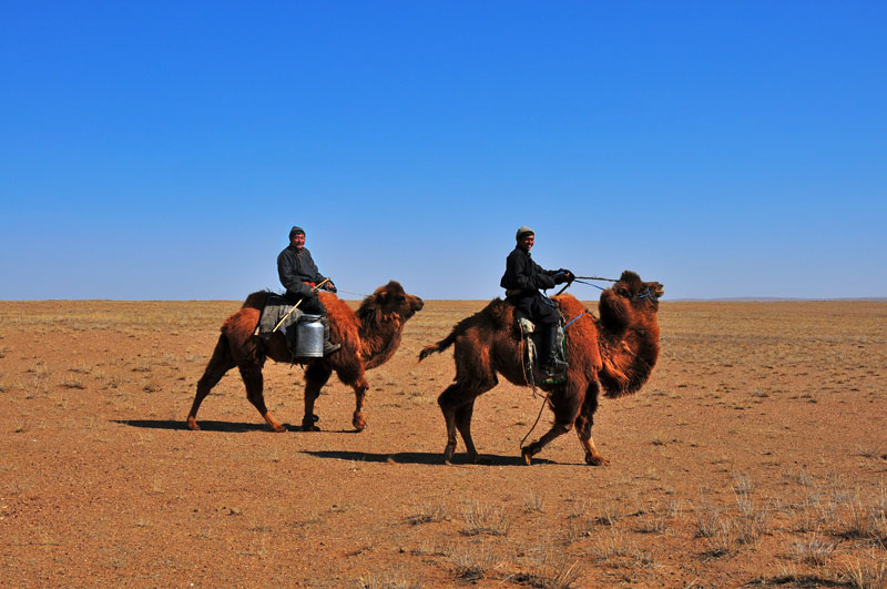 Mongolie